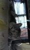 DVC00038.jpg